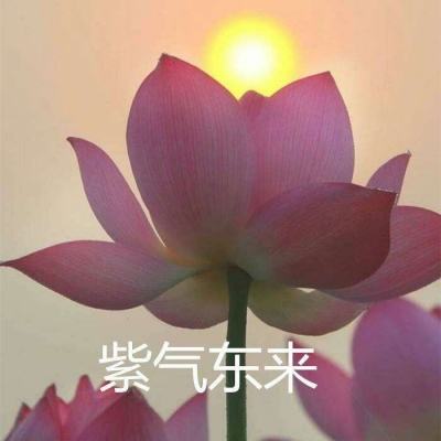 颤抖吧恶魔破解版下载
