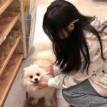 混沌之境手游正式版下载