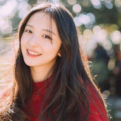 宠物探险家bt版下载